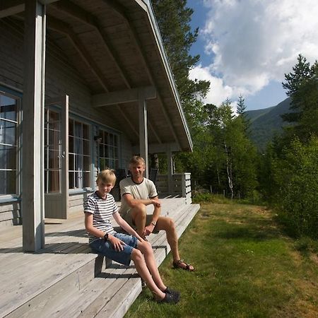 Jolsterlia Hyttetun Årdal Extérieur photo