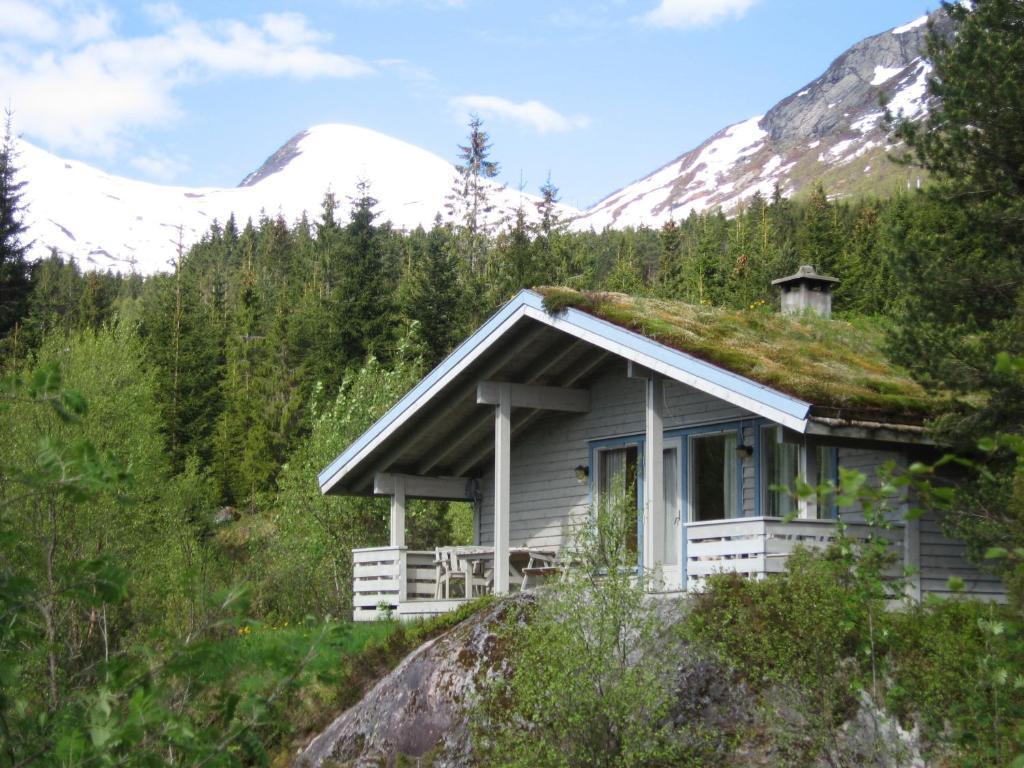 Jolsterlia Hyttetun Årdal Chambre photo