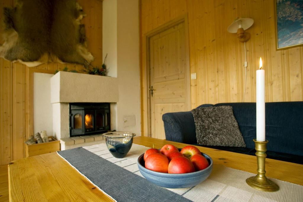 Jolsterlia Hyttetun Årdal Extérieur photo