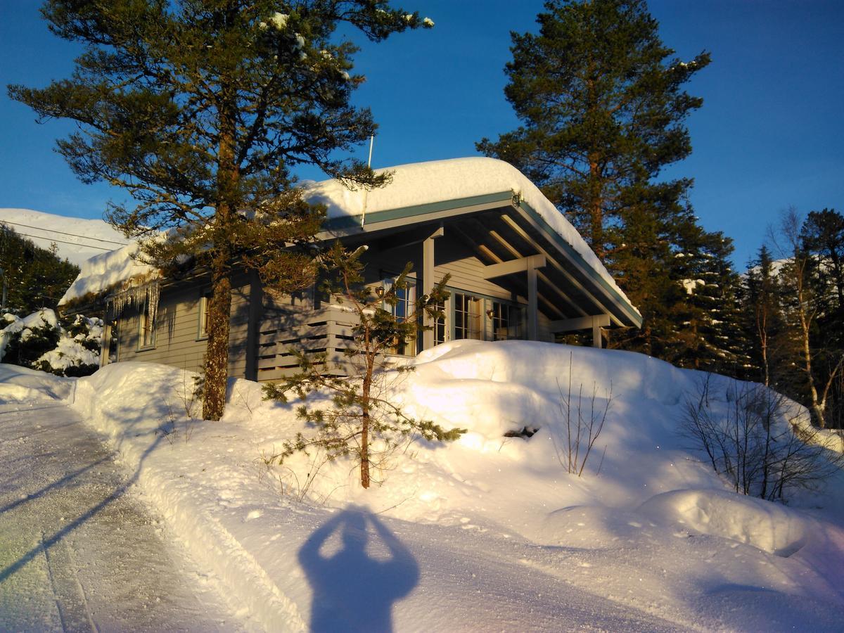 Jolsterlia Hyttetun Årdal Extérieur photo