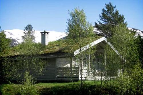 Jolsterlia Hyttetun Årdal Extérieur photo